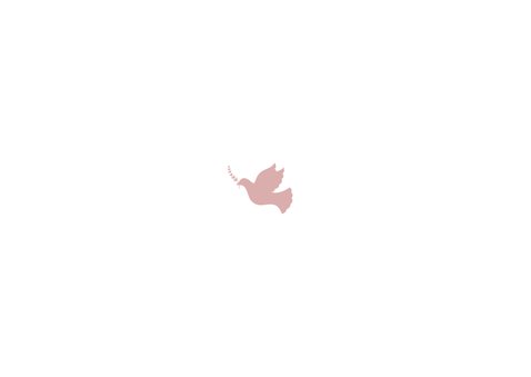 Doopkaart uitnodiging foto duifje roze Achterkant