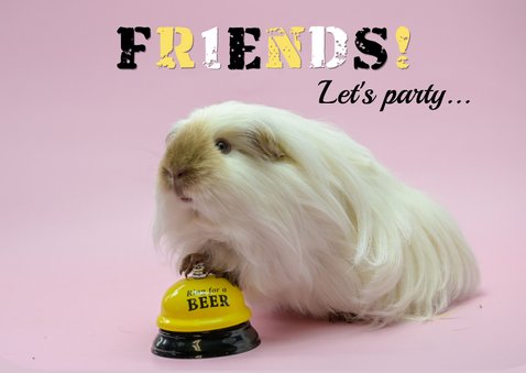 Een leuke cavia kaart samen een biertje drinken? 2