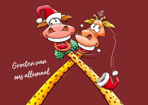 Een verrekt grappige kerstkaart met twee giraffen 3