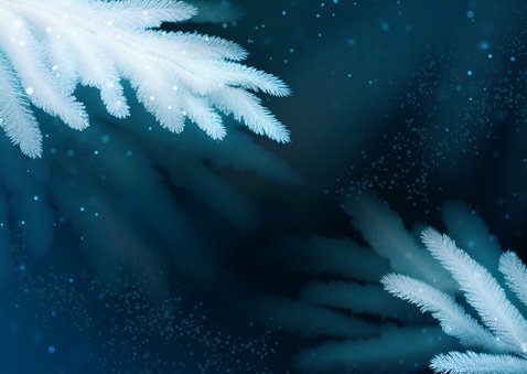 Familie foto kerstkaart blauw met takken 2