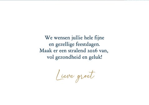 Familie foto kerstkaart blauw met takken 3