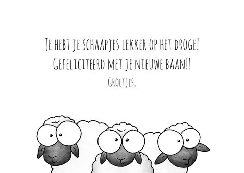 Felicitatie schapen jij hebt je schaapjes op het droge! 3