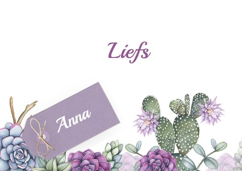 Felicitatie vetplant aquarel 3