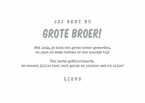 Felicitatiekaart Broertje Broer Uiltjes Kaartje Go