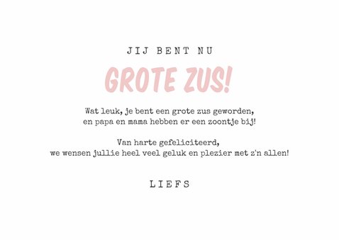 Felicitatiekaart broertje uiltjes geboorte baby meisje zus 3