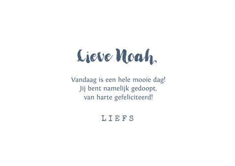 Felicitatiekaart doopsel jongen blauw takjes vintage 3