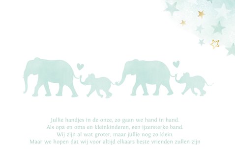 Felicitatiekaart geboorte kleinkind - tweeling geboren 2