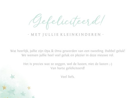Felicitatiekaart geboorte kleinkind - tweeling geboren 3
