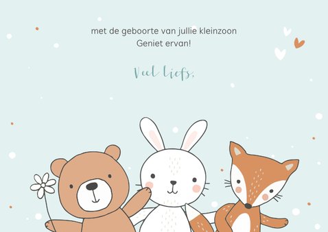 Felicitatiekaart geboorte - Kleinzoon konijn beer vos 3