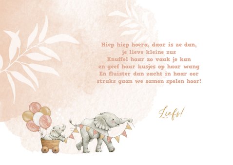 Felicitatiekaart geboorte voor zusje met lieve olifantjes 3