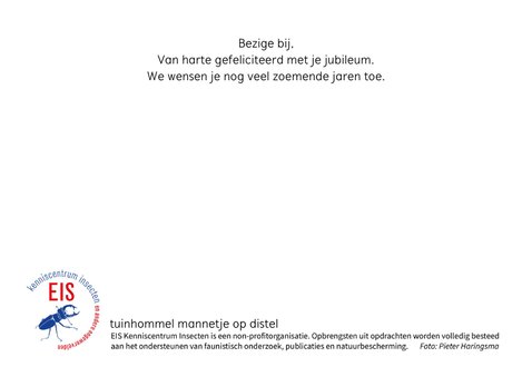 Felicitatiekaart met een vrolijke paarse bloem en een bij 3