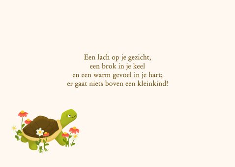 Felicitatiekaart oma en opa geworden - schildpadden 2