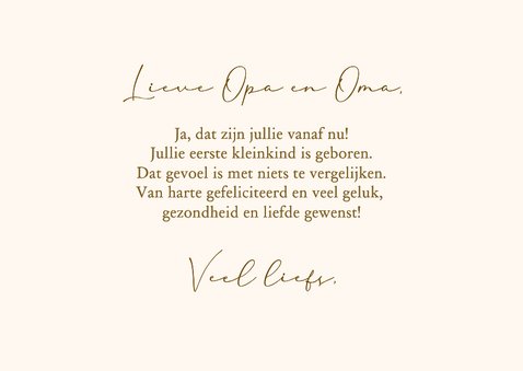 Felicitatiekaart oma en opa geworden - schildpadden 3
