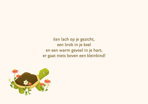 Felicitatiekaart oma of opa geworden - schildpadden 2