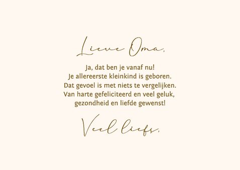 Felicitatiekaart oma of opa geworden - schildpadden 3