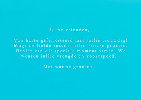 Felicitatiekaart trouwdag cavia's 3