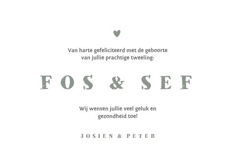 Felicitatiekaart tweeling olifantjes met hartjes 3