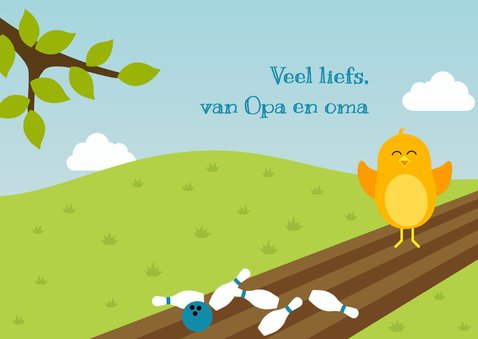 Felicitatiekaart voor jongen met vogeltje op bowlingbaan 3