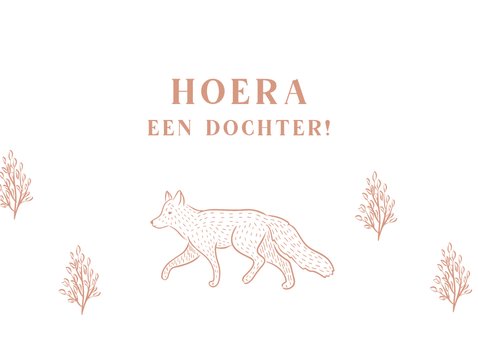Felicitatiekaartje vosje geboorte meisje 2