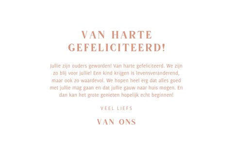 Felicitatiekaartje vosje geboorte meisje 3