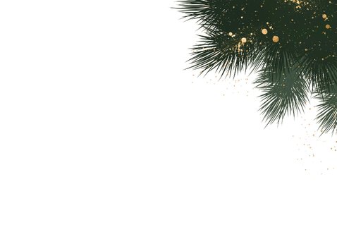 Foto kerstkaartje lief koolmeesje met lichtjes 2