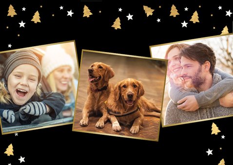Fotokaart kerstmis - met foto van hond en gouden pootafdruk 2