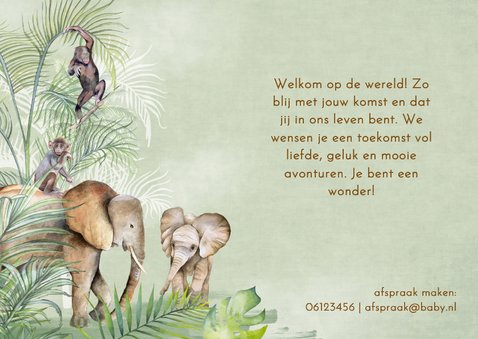 Geboorte dieren in jungle 2