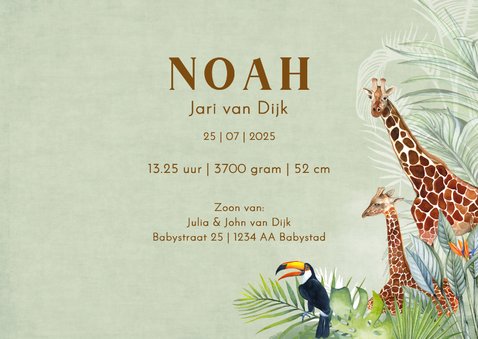 Geboorte dieren in jungle 3
