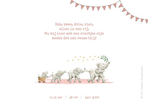 Geboorte dochter met vier vrolijke olifantjes! 2