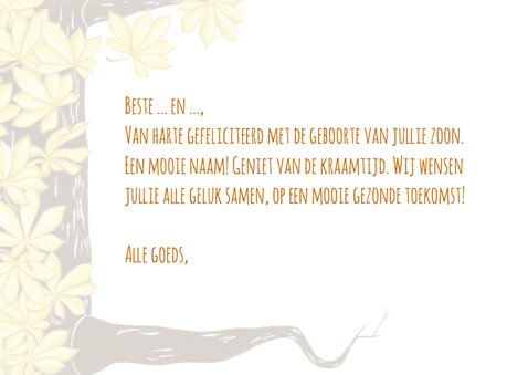 geboorte-hiep hiep hoera-kk 3
