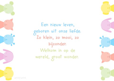 Geboorte Knuffels 3
