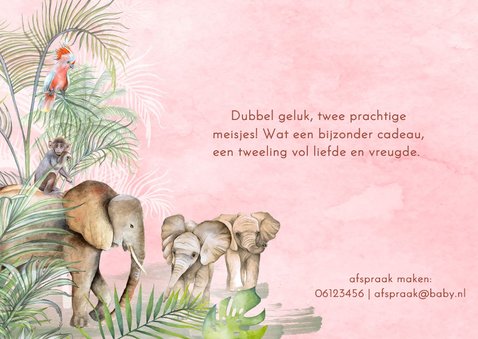 Geboorte tweeling meisje in de jungle olifantjes 2