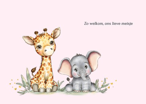 Geboortekaart girafje olifantje en leeuwtje 2