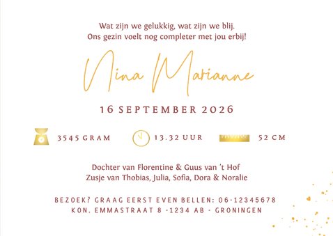 Geboortekaartje 6e kindje broertjes en zusjes bij de wieg 3