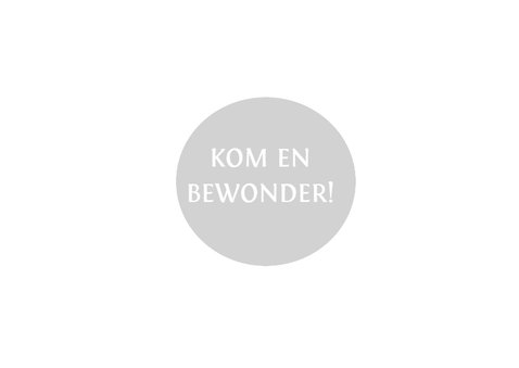 Geboortekaartje B 2