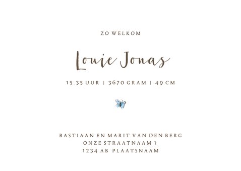 Geboortekaartje baby kijkend naar een blauwe vlinder 3
