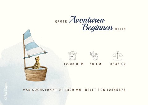 Geboortekaartje beer met papieren hoedje en eendje in water 2