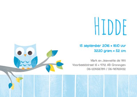 Geboortekaartje blauw uiltje 3
