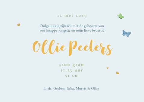 Geboortekaartje broertje lief uiltjes boom vlinders hartjes 3