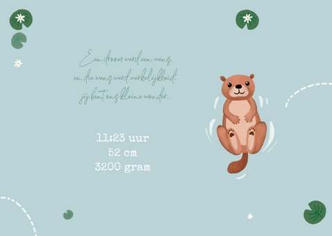 Geboortekaartje broertje otters familie water blauw 2