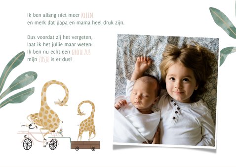 Geboortekaartje dag zusje giraffen fiets roze waterverf 2