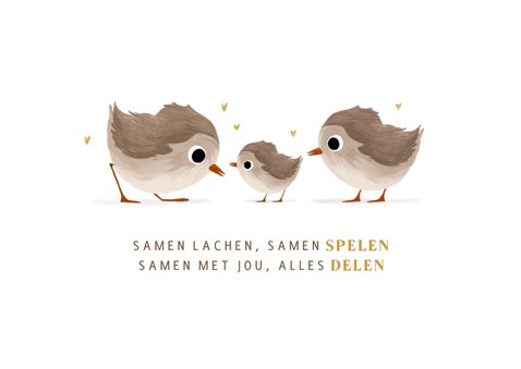 Geboortekaartje derde broertje of zusje met vogeltjes 2