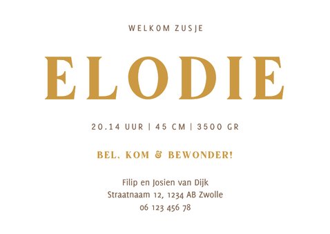 Geboortekaartje derde broertje of zusje met vogeltjes 3