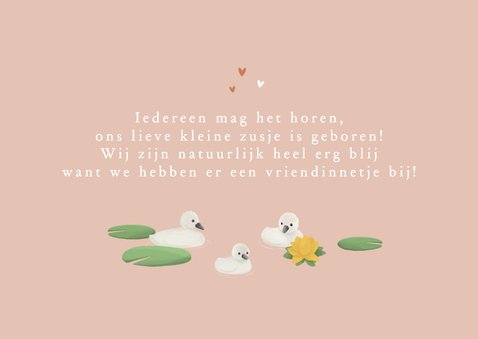 Geboortekaartje derde kindje zwanen lief lente zusje 2