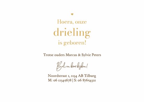 Geboortekaartje dieren eendjes drieling hartjes 3