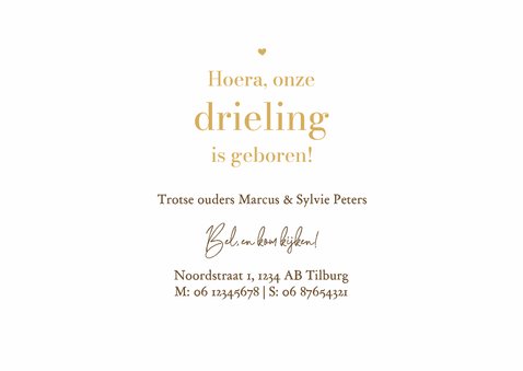 Geboortekaartje dieren eendjes drieling hartjes 3