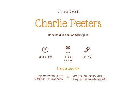 Geboortekaartje foto leeuw goud minimalistisch hartjes 3