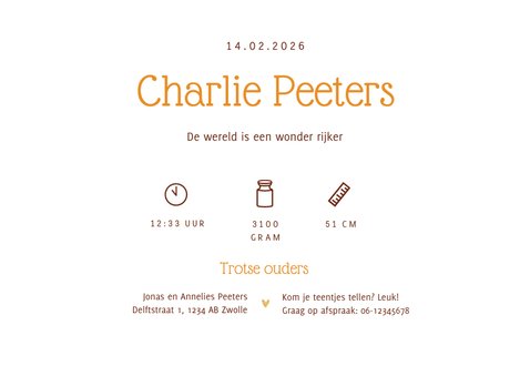 Geboortekaartje foto leeuw goud minimalistisch hartjes 3