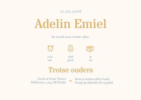 Geboortekaartje foto luchtballon dieren vintage sterren 3