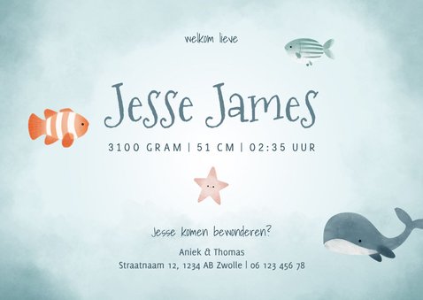 Geboortekaartje fotocollage jongetje met vissen en walvis 3